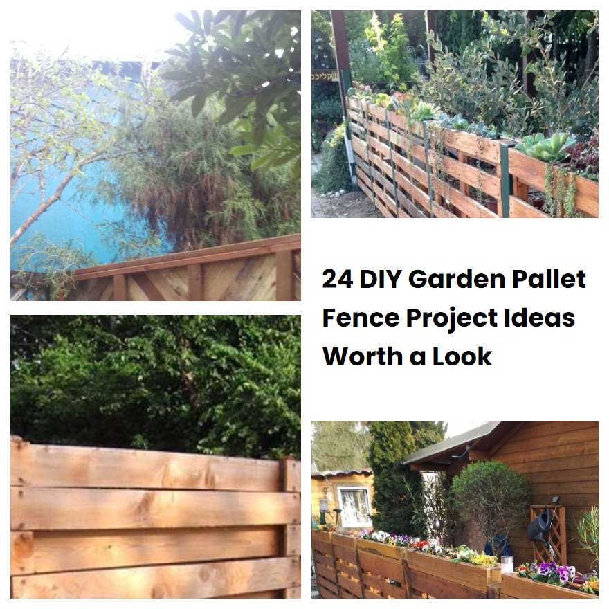 24 DIY Garden Pallet Fence Project Ideas Worth a Look