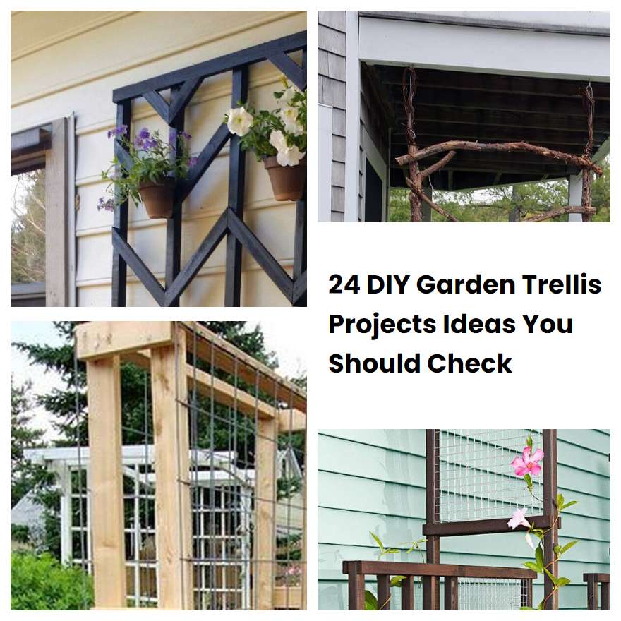 24 DIY Garden Trellis Projects Ideas You Should Check