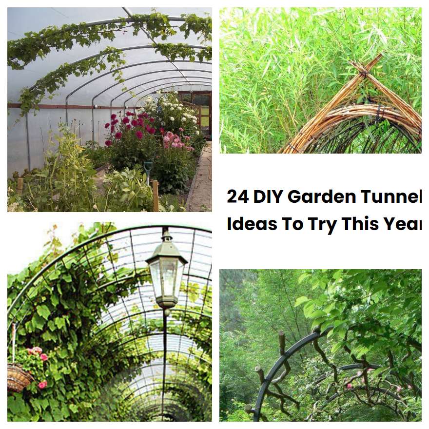 24 DIY Garden Tunnel Ideas To Try This Year SharonSable