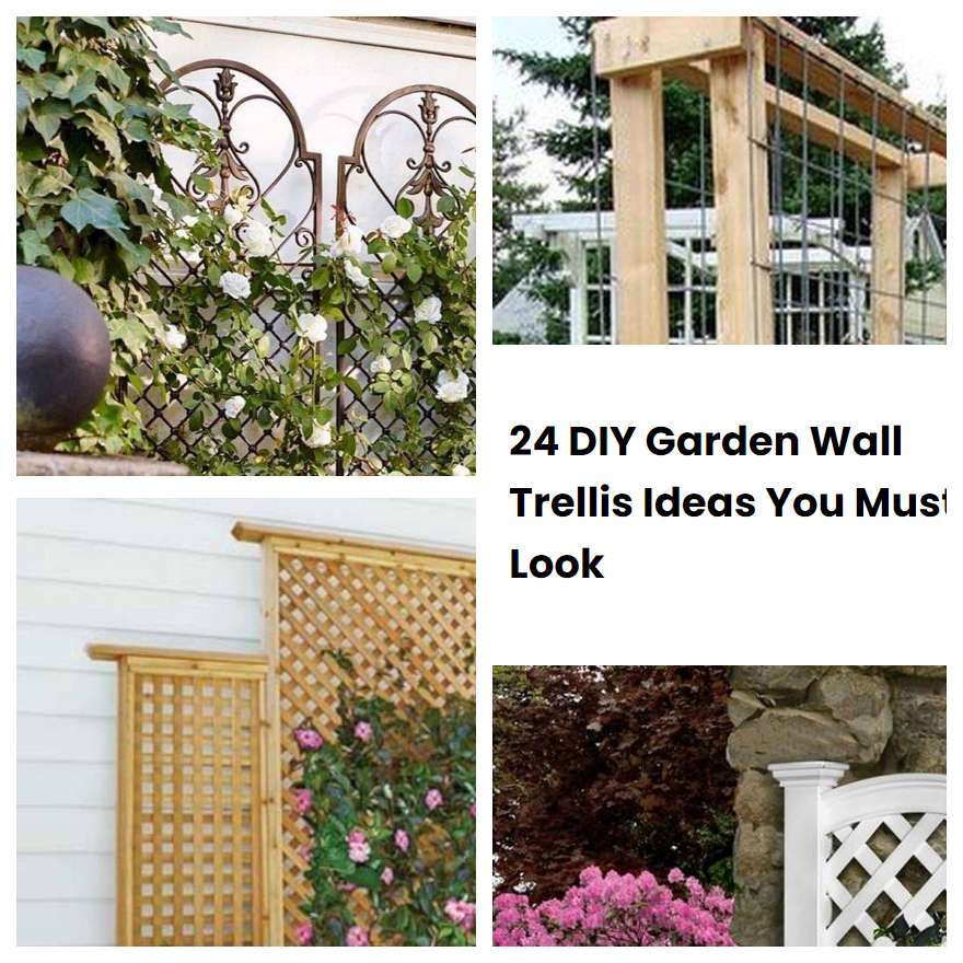 24 DIY Garden Wall Trellis Ideas You Must Look