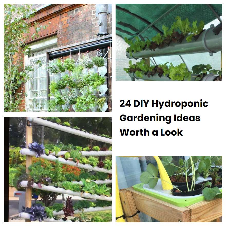 24 DIY Hydroponic Gardening Ideas Worth a Look