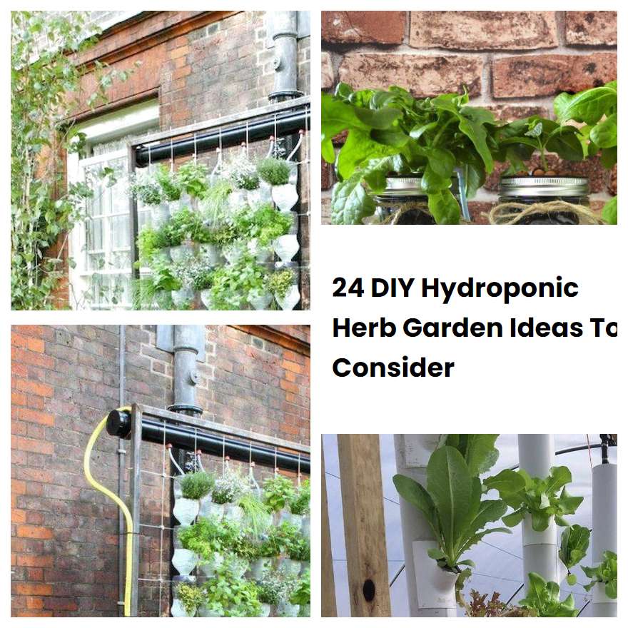24 DIY Hydroponic Herb Garden Ideas To Consider SharonSable