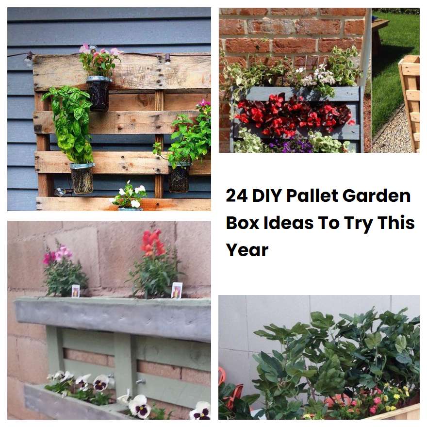 24 DIY Pallet Garden Box Ideas To Try This Year SharonSable