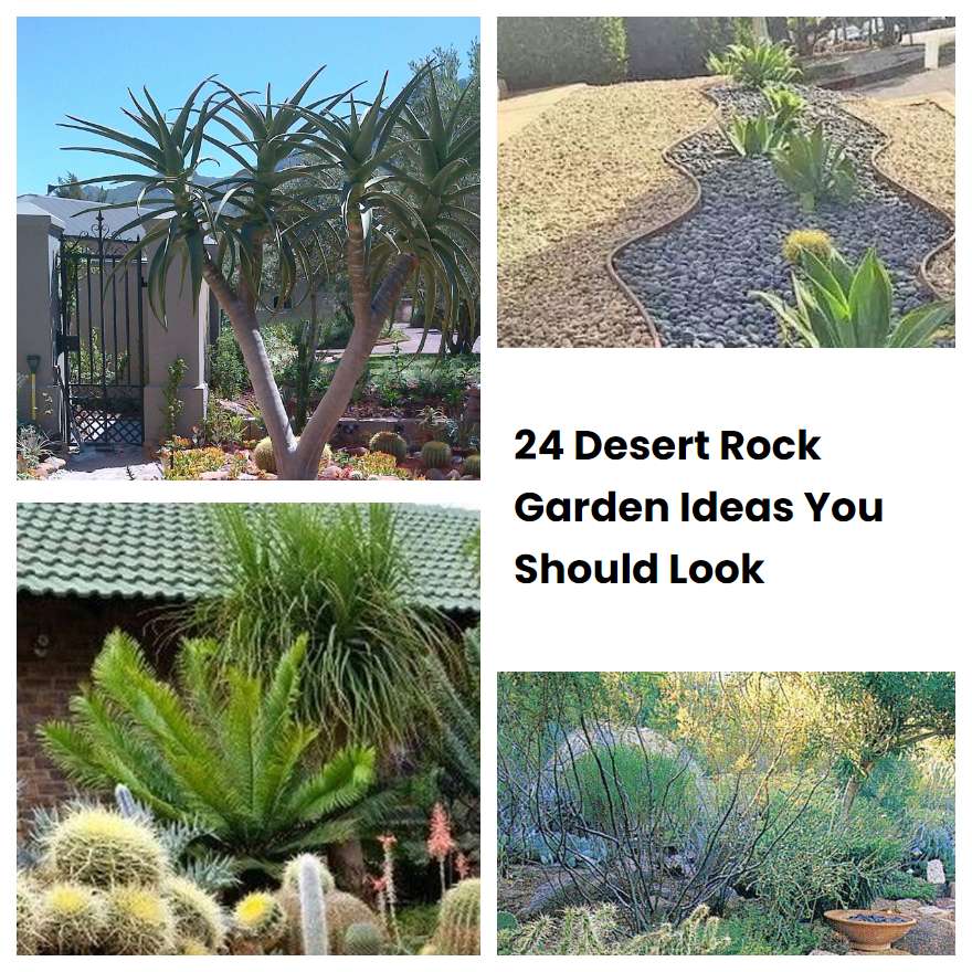24 Desert Rock Garden Ideas You Should Look SharonSable