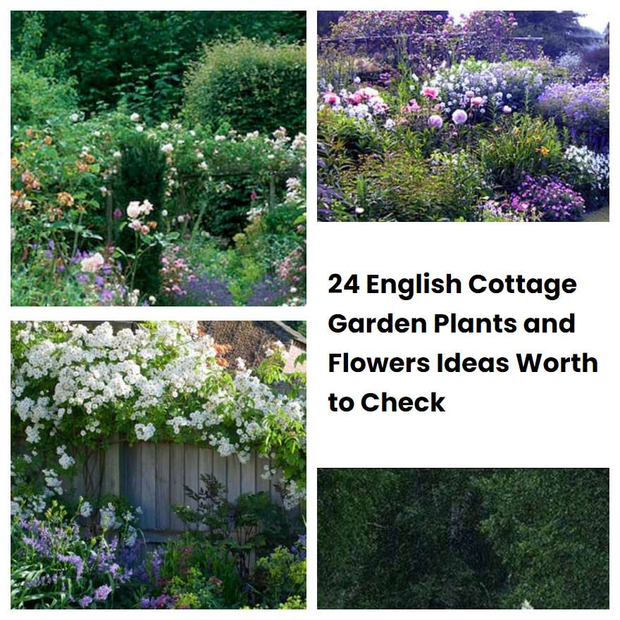 24 English Cottage Garden Plants and Flowers Ideas Worth to Check