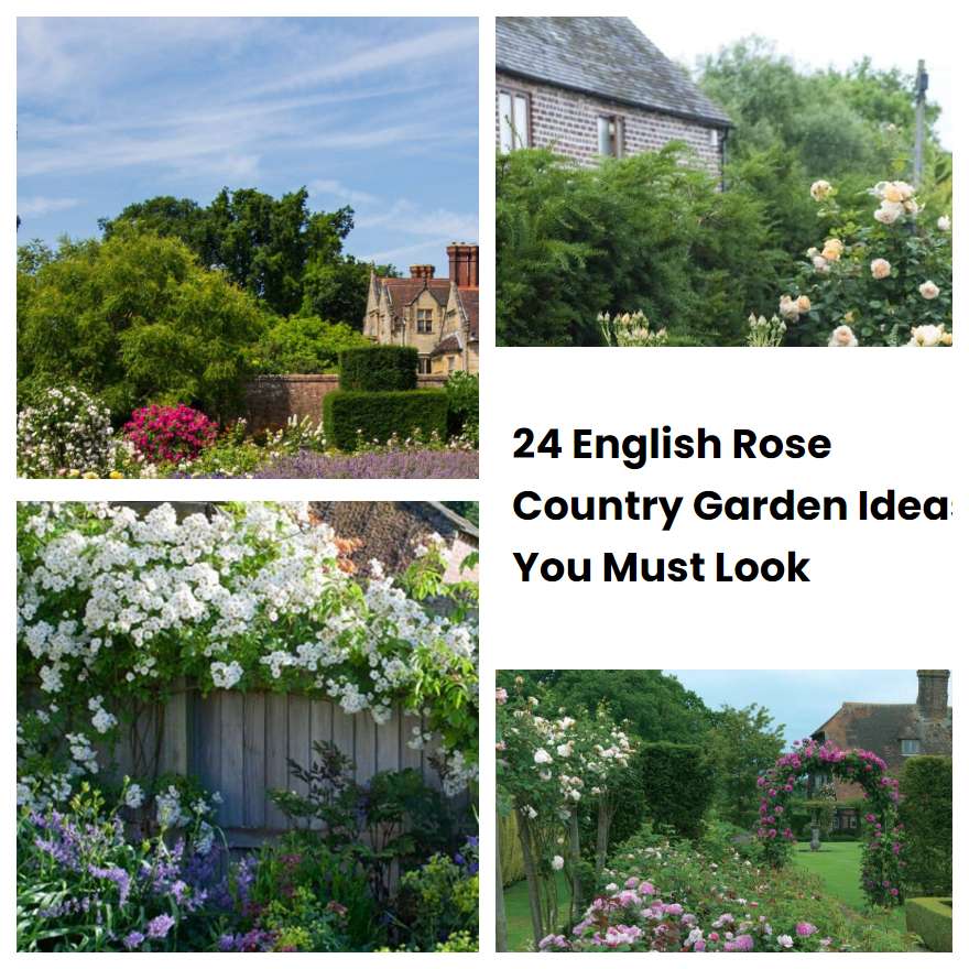 24 English Rose Country Garden Ideas You Must Look