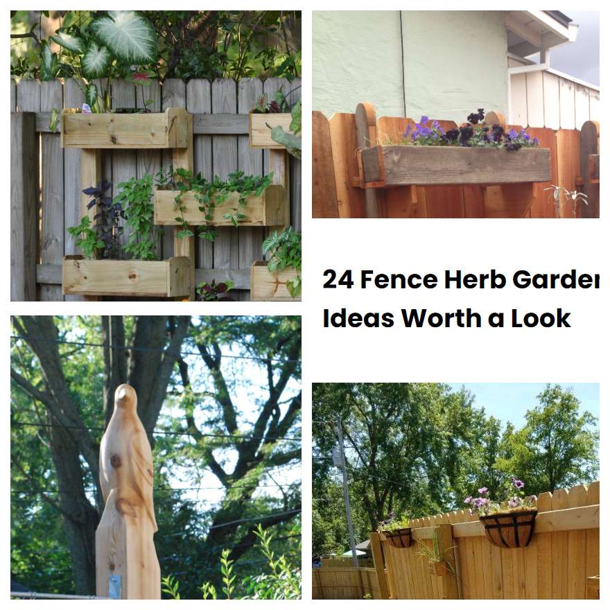 24 Fence Herb Garden Ideas Worth a Look SharonSable