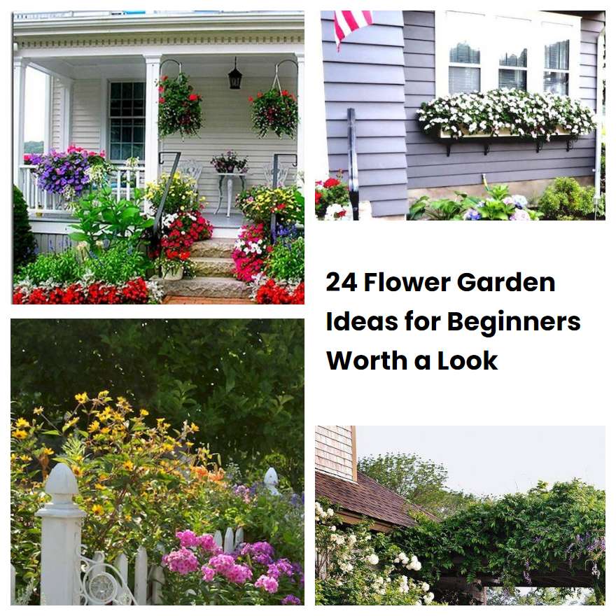 24 Flower Garden Ideas for Beginners Worth a Look
