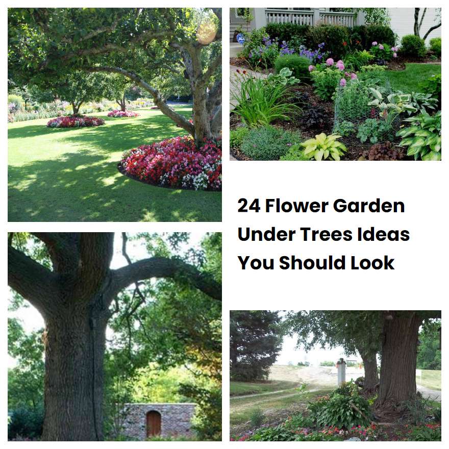 24 Flower Garden Under Trees Ideas You Should Look SharonSable