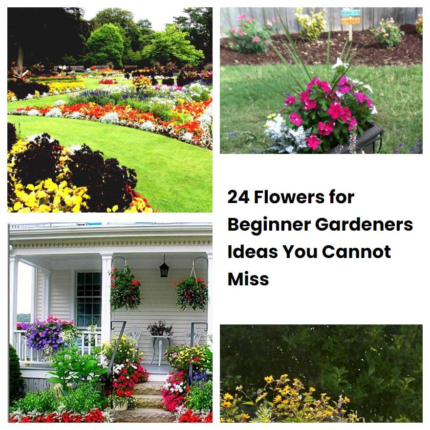 24 Flowers for Beginner Gardeners Ideas You Cannot Miss SharonSable