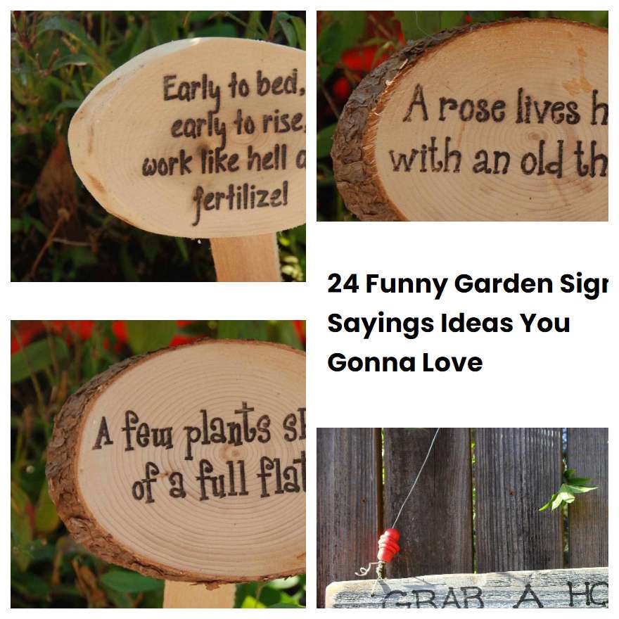 24 Funny Garden Sign Sayings Ideas You Gonna Love SharonSable