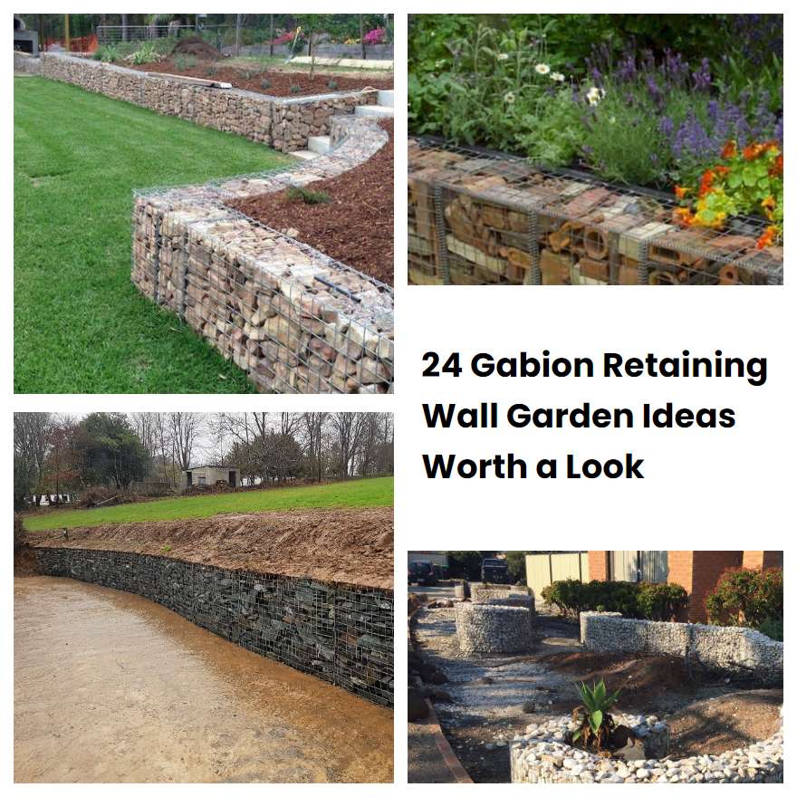 24 Gabion Retaining Wall Garden Ideas Worth a Look