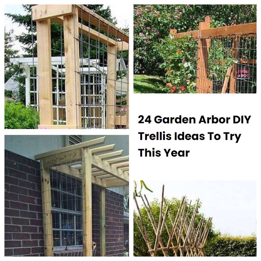24 Garden Arbor DIY Trellis Ideas To Try This Year