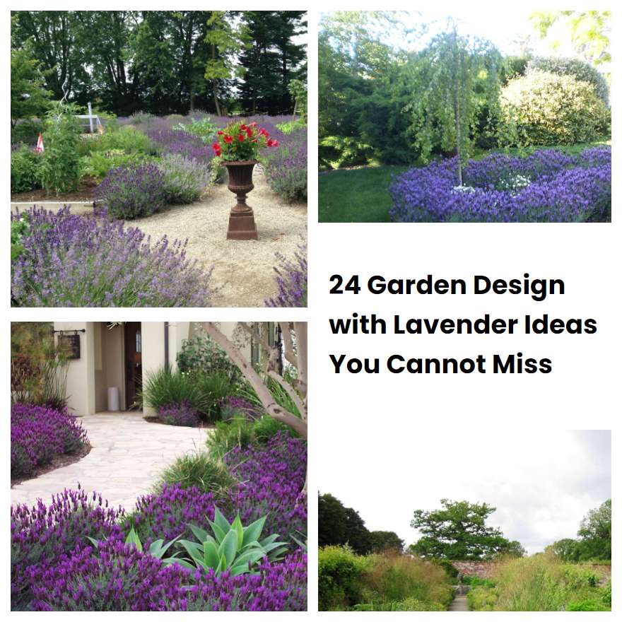 24 Garden Design with Lavender Ideas You Cannot Miss
