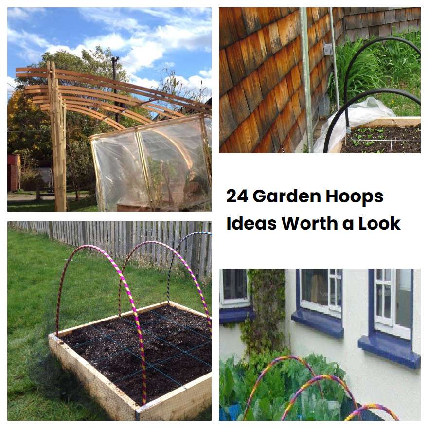 24 Garden Hoops Ideas Worth a Look SharonSable