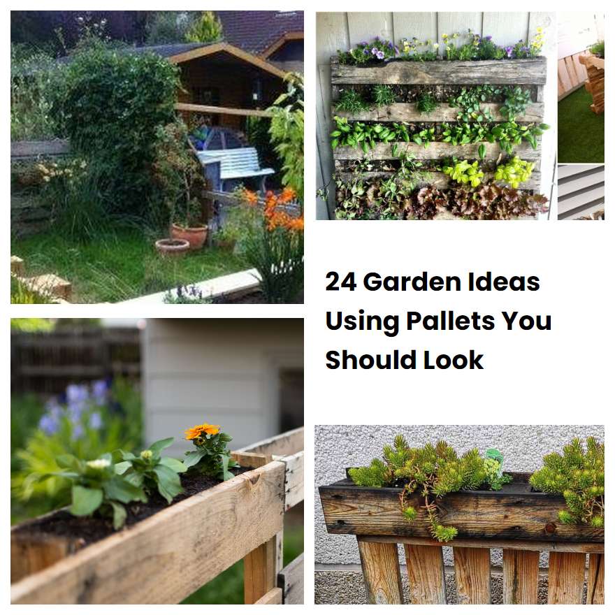 24 Garden Ideas Using Pallets You Should Look SharonSable