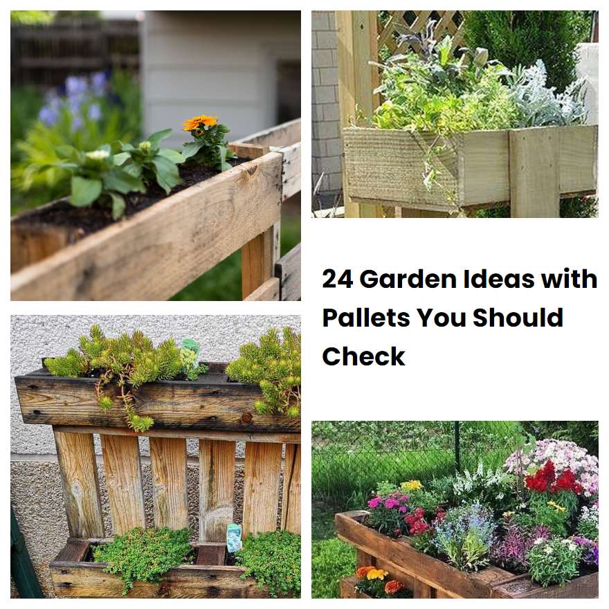 24 Garden Ideas with Pallets You Should Check SharonSable