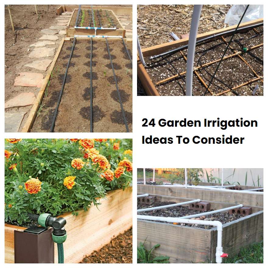 24 Garden Irrigation Ideas To Consider SharonSable