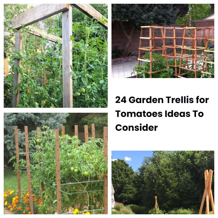 24 Garden Trellis for Tomatoes Ideas To Consider
