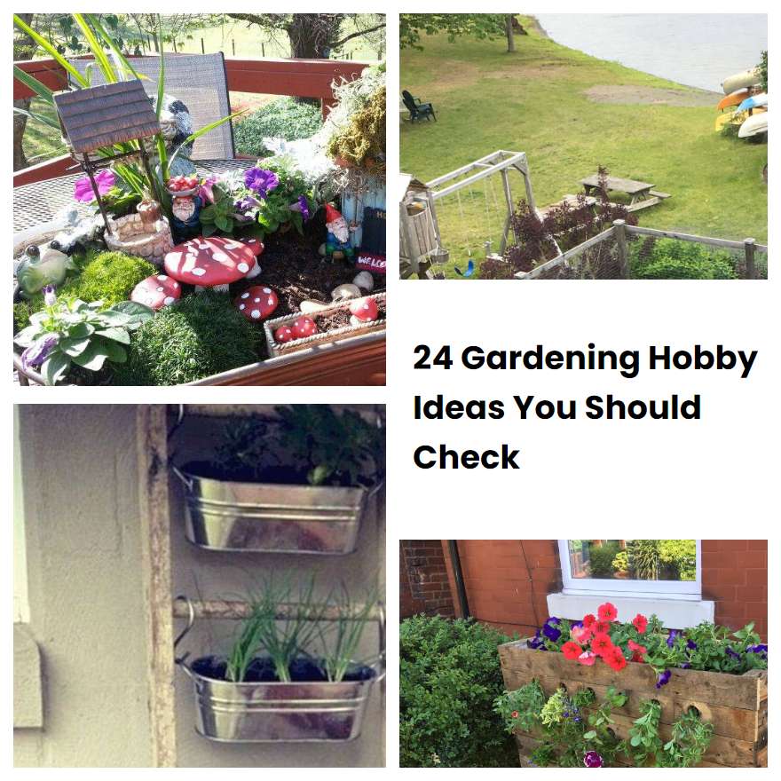 24 Gardening Hobby Ideas You Should Check