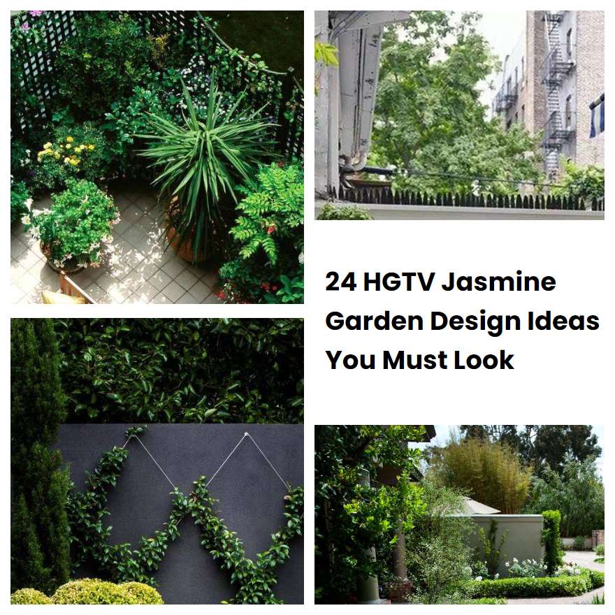 24 HGTV Jasmine Garden Design Ideas You Must Look