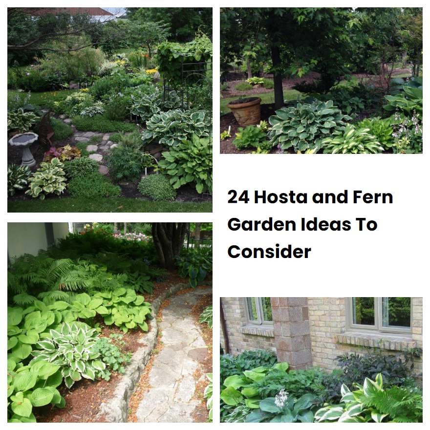 24 Hosta and Fern Garden Ideas To Consider