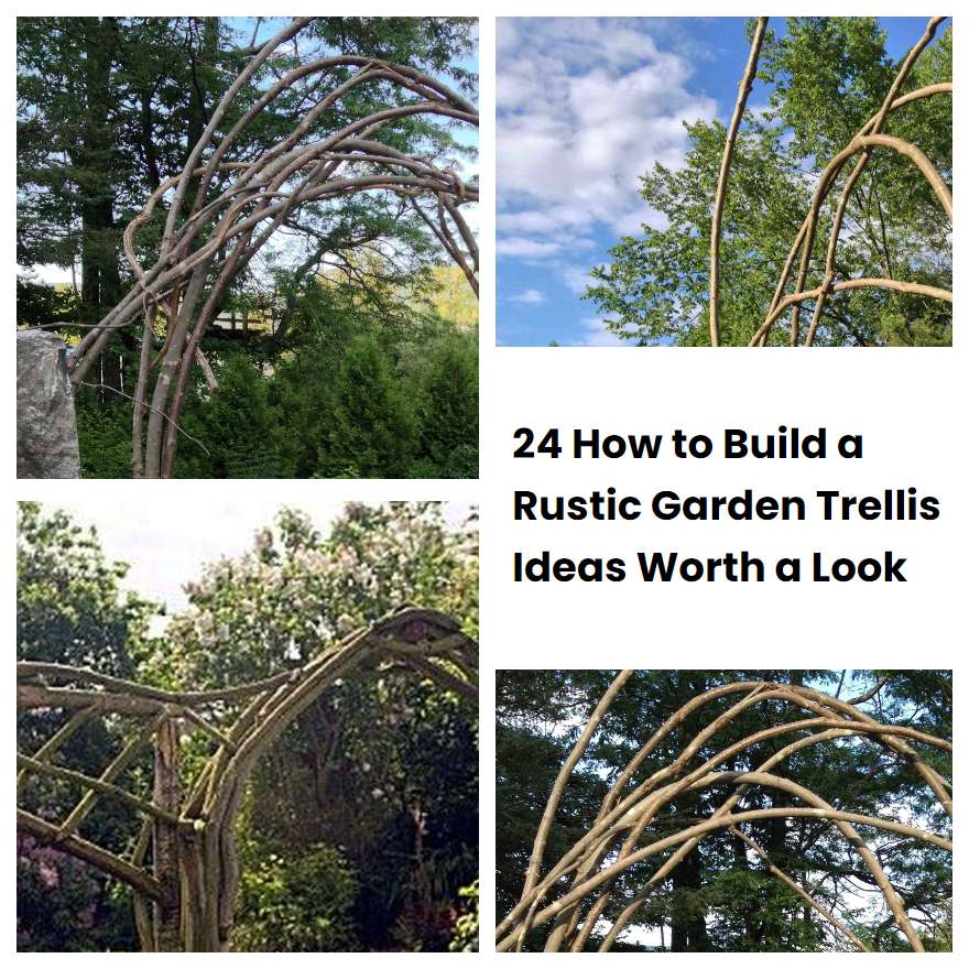 24 How to Build a Rustic Garden Trellis Ideas Worth a Look SharonSable