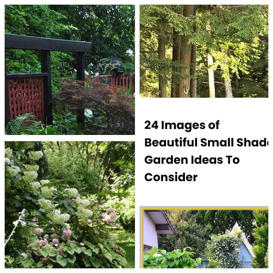 24 Images of Beautiful Small Shade Garden Ideas To Consider