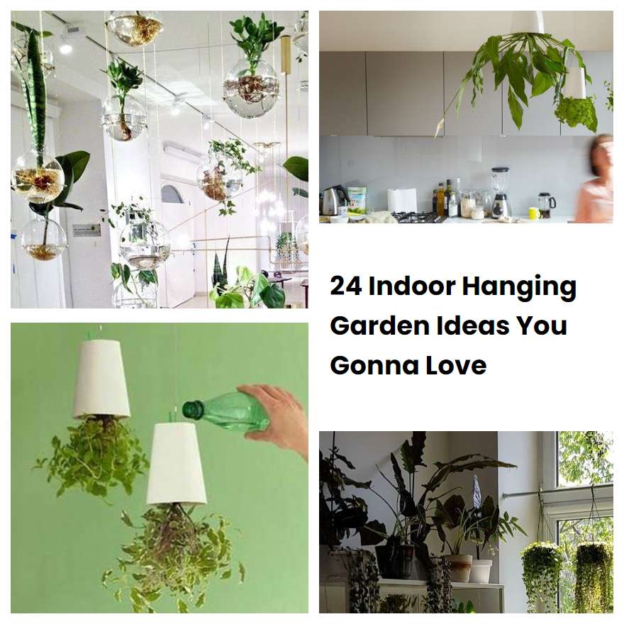24 Indoor Hanging Garden Ideas You Gonna Love SharonSable