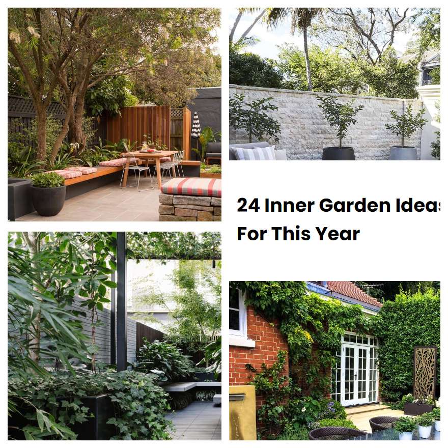 24 Inner Garden Ideas For This Year