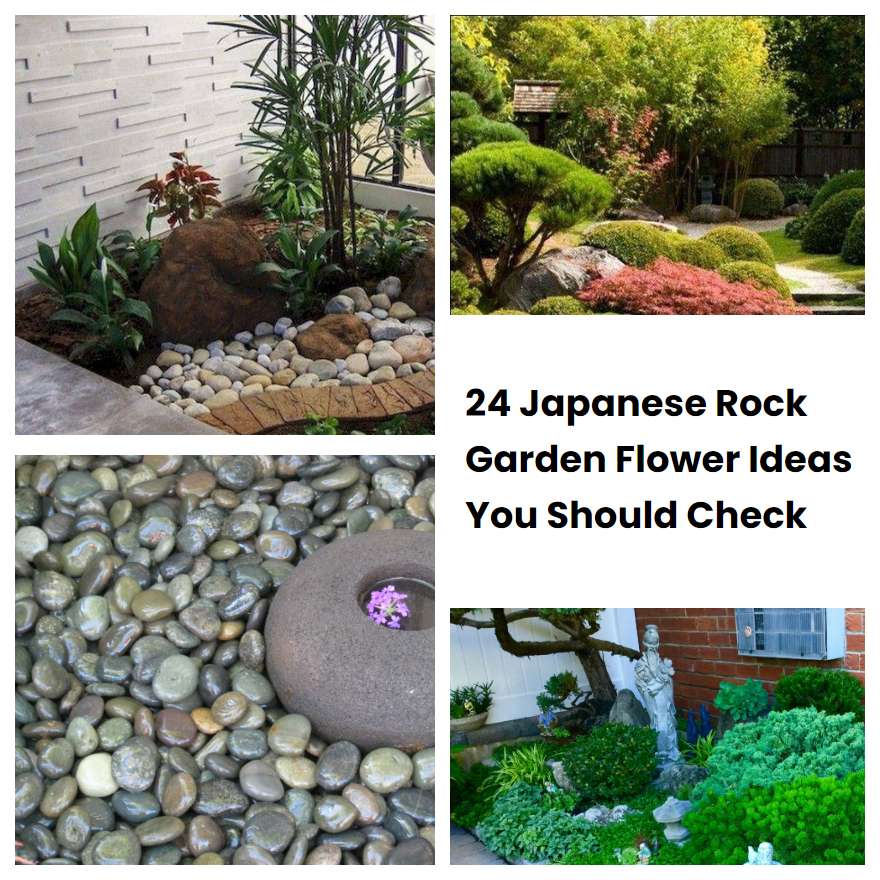 24 Japanese Rock Garden Flower Ideas You Should Check