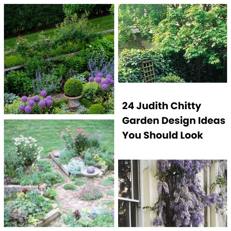 24 Judith Chitty Garden Design Ideas You Should Look