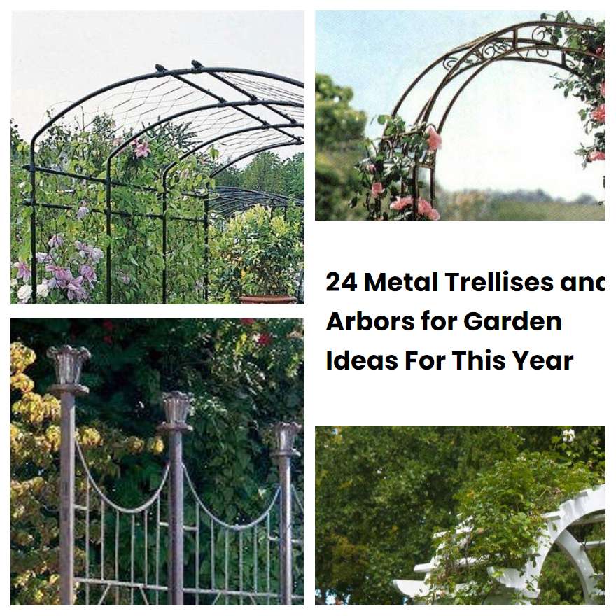 24 Metal Trellises and Arbors for Garden Ideas For This Year SharonSable