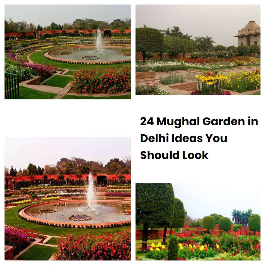 24 Mughal Garden in Delhi Ideas You Should Look