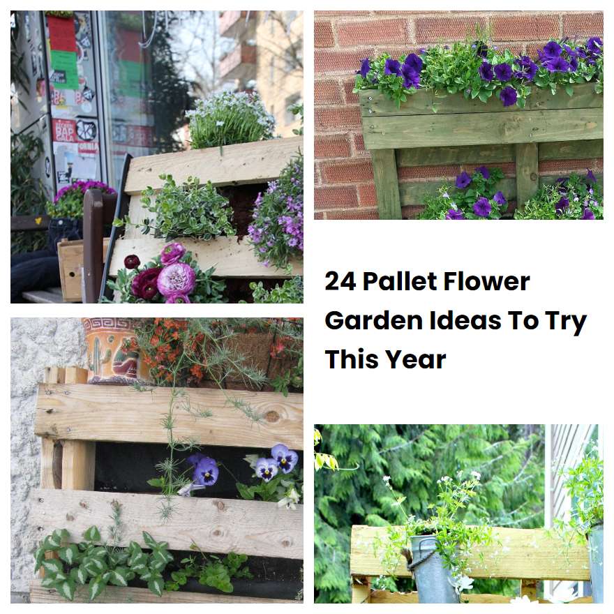 24 Pallet Flower Garden Ideas To Try This Year