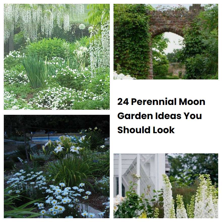24 Perennial Moon Garden Ideas You Should Look