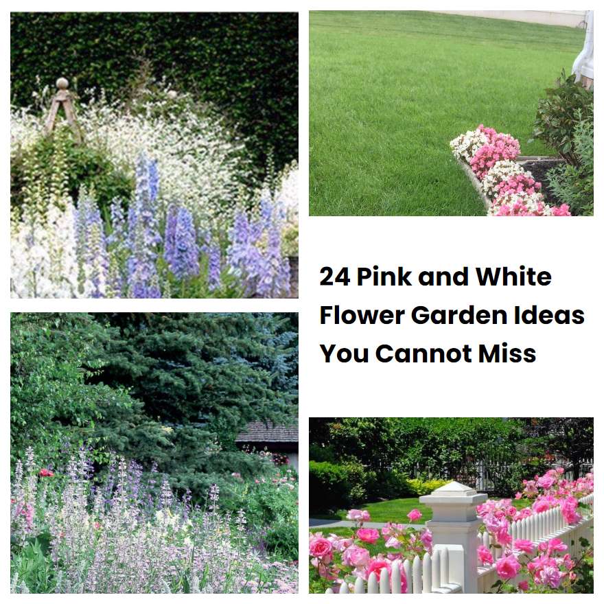 24 Pink and White Flower Garden Ideas You Cannot Miss SharonSable