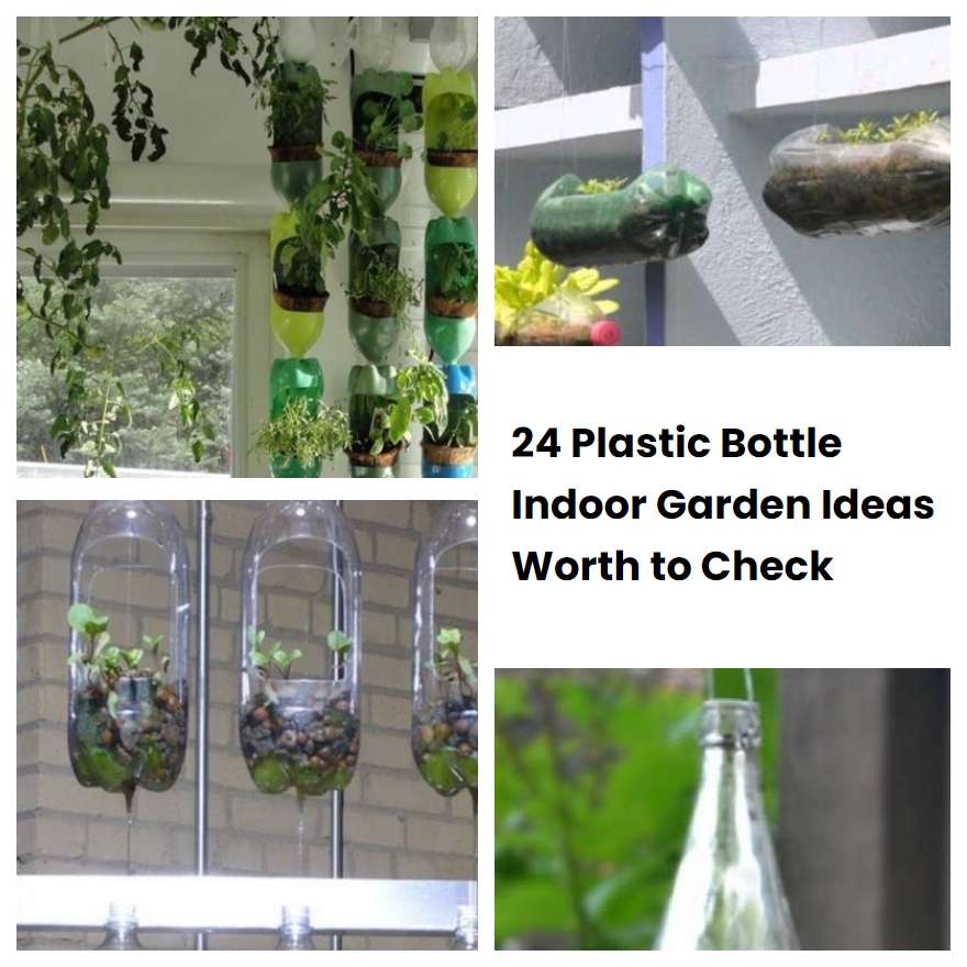 24 Plastic Bottle Indoor Garden Ideas Worth to Check