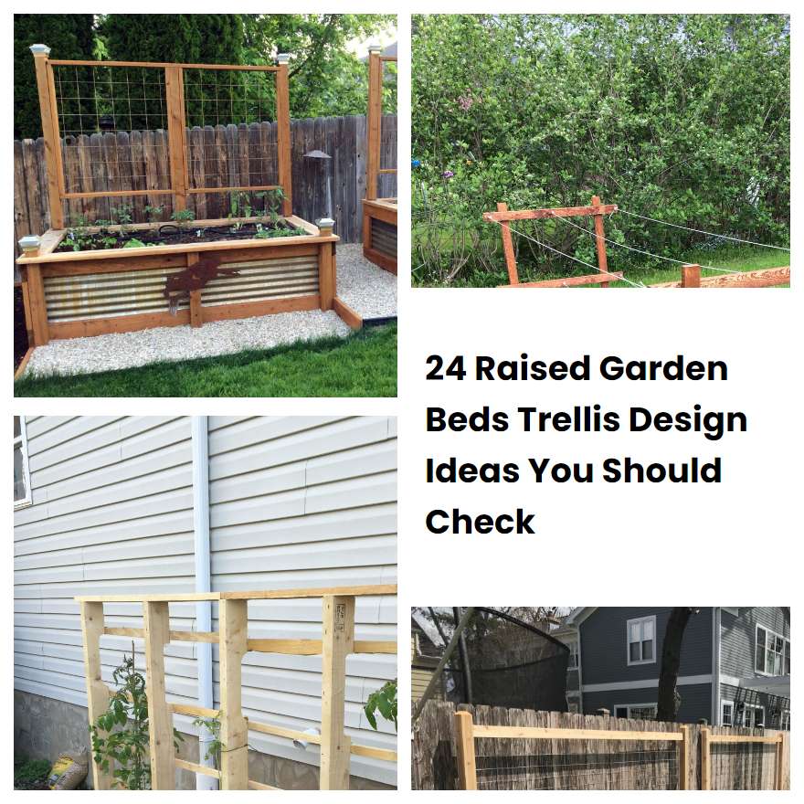 24 Raised Garden Beds Trellis Design Ideas You Should Check SharonSable