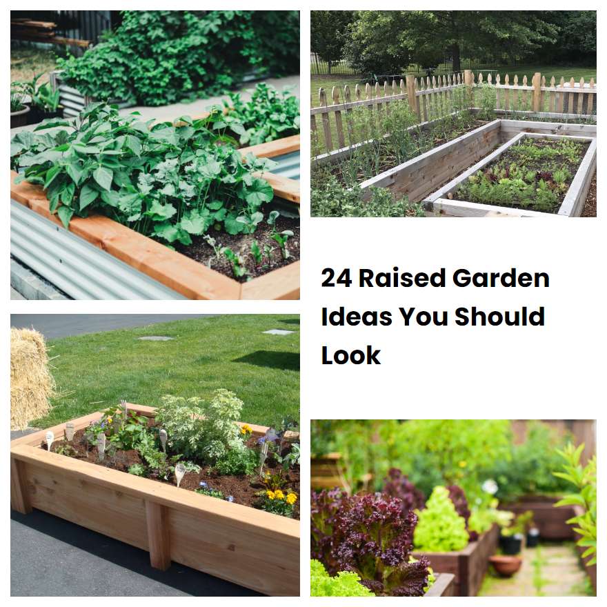 24 Raised Garden Ideas You Should Look SharonSable