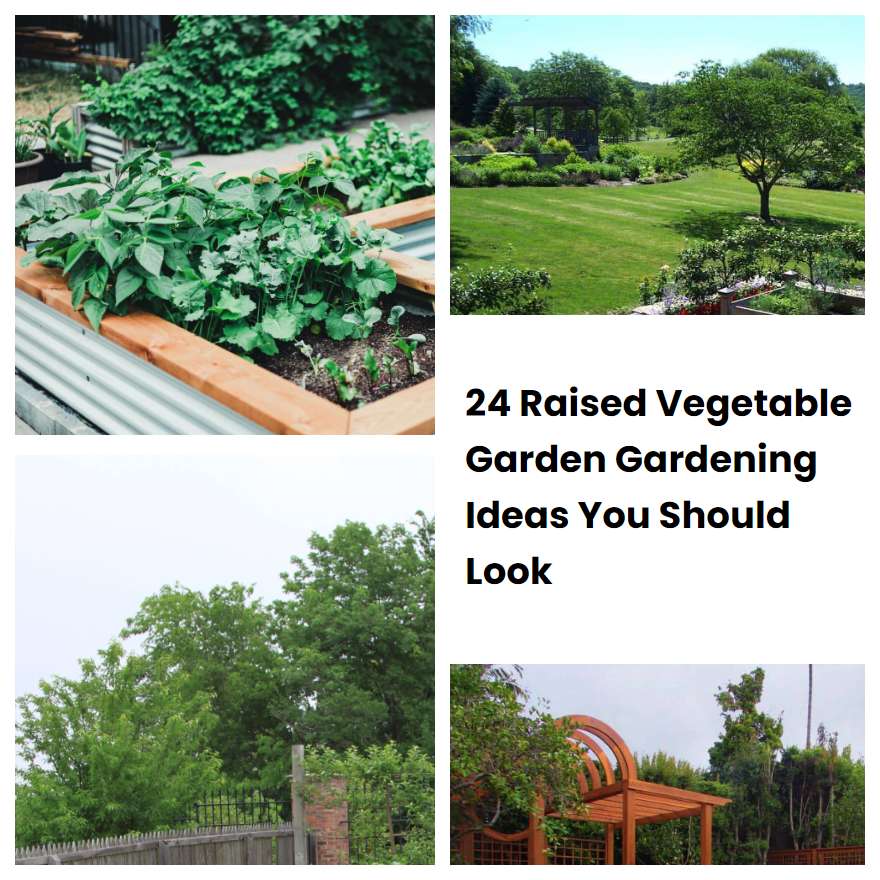 24 Raised Vegetable Garden Gardening Ideas You Should Look