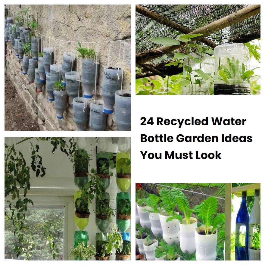 24 Recycled Water Bottle Garden Ideas You Must Look SharonSable