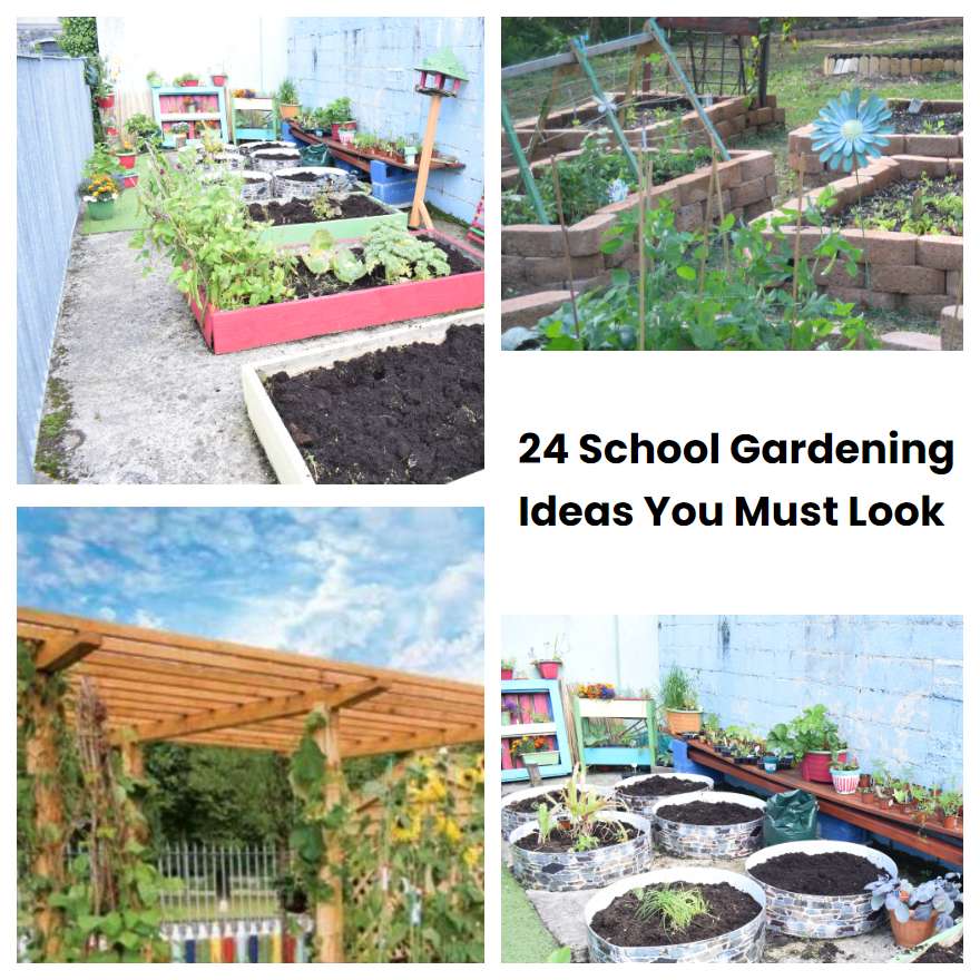 24 School Gardening Ideas You Must Look