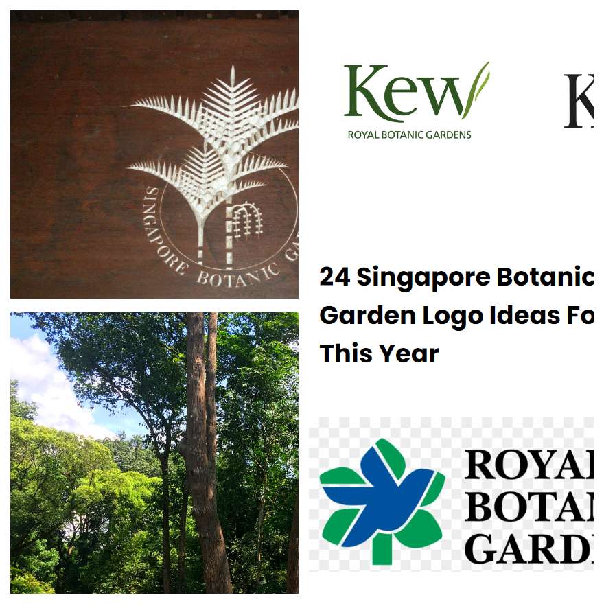 24 Singapore Botanic Garden Logo Ideas For This Year