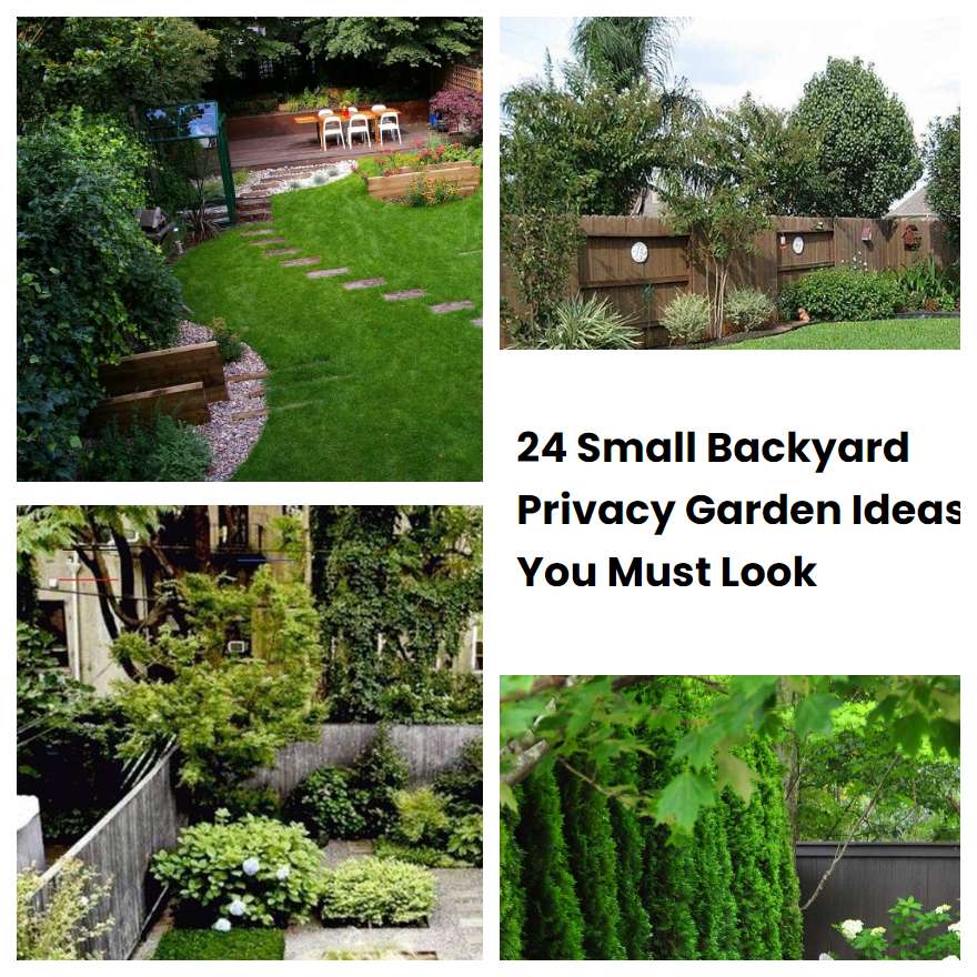 24 Small Backyard Privacy Garden Ideas You Must Look SharonSable