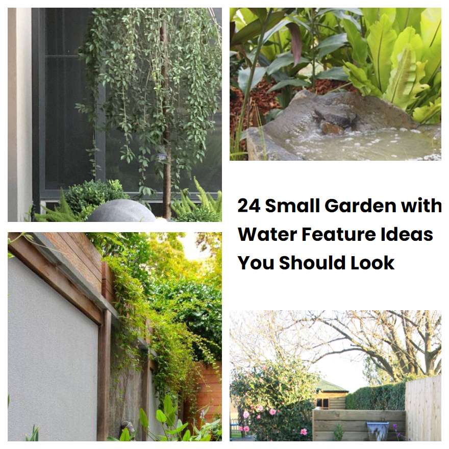 24 Small Garden with Water Feature Ideas You Should Look