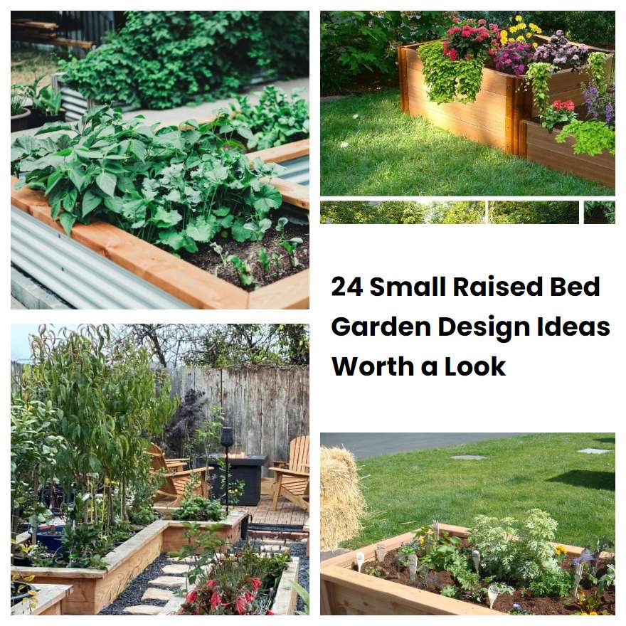 24 Small Raised Bed Garden Design Ideas Worth a Look SharonSable