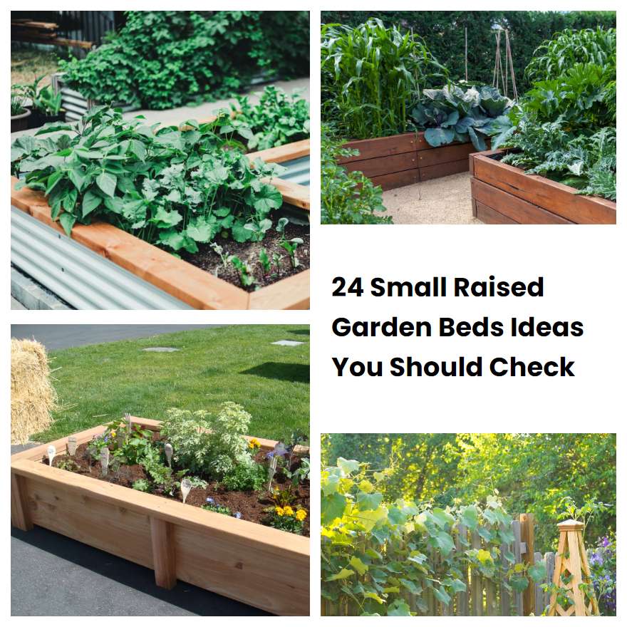 24 Small Raised Garden Beds Ideas You Should Check SharonSable