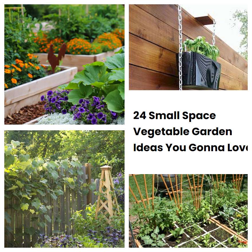 24 Small Space Vegetable Garden Ideas You Gonna Love