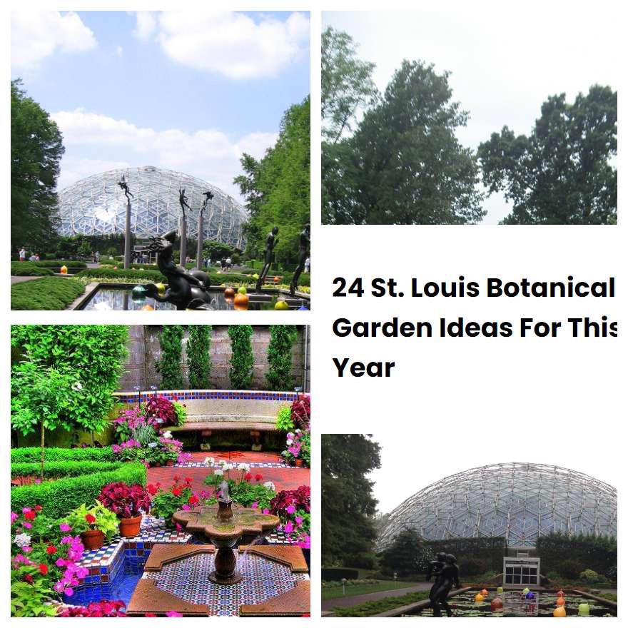 24 St. Louis Botanical Garden Ideas For This Year